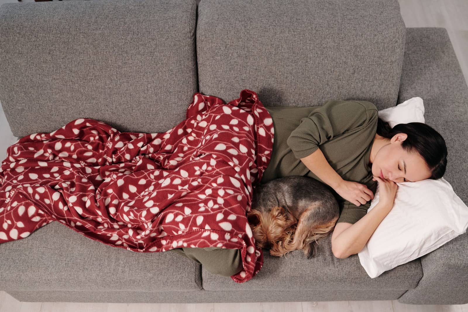A woman napping on the couch with her dog